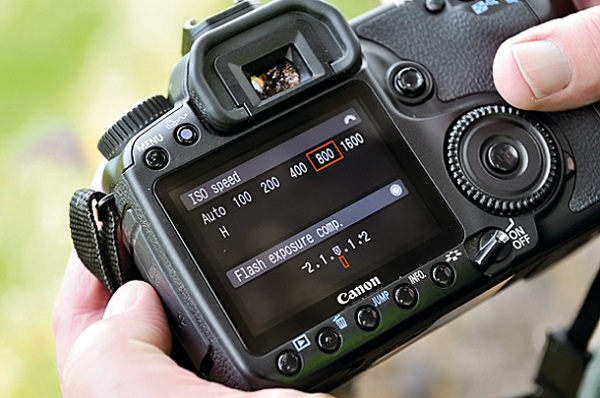 Giá trị ISO của máy ảnh DSLR